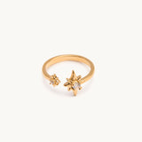 Cosmic Ring