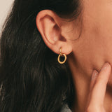 Gold Link Earrings